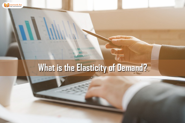 What is the Elasticity of Demand?  | An Overview