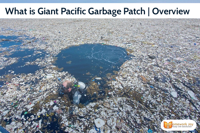 What is Giant Pacific Garbage Patch Overview