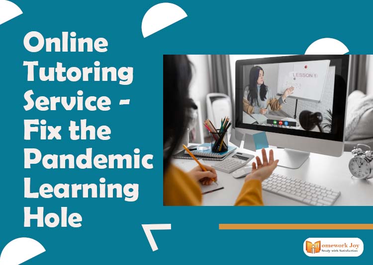 Online Tutoring Service - Fix the Pandemic Learning Hole