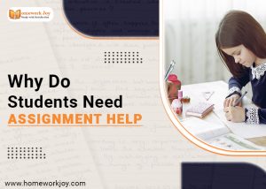 Why Do Students Need Assignment Help