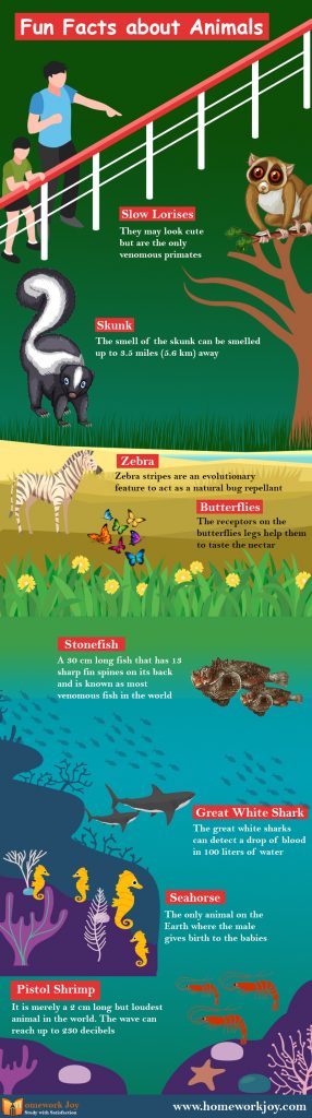 Fun facts about animals
