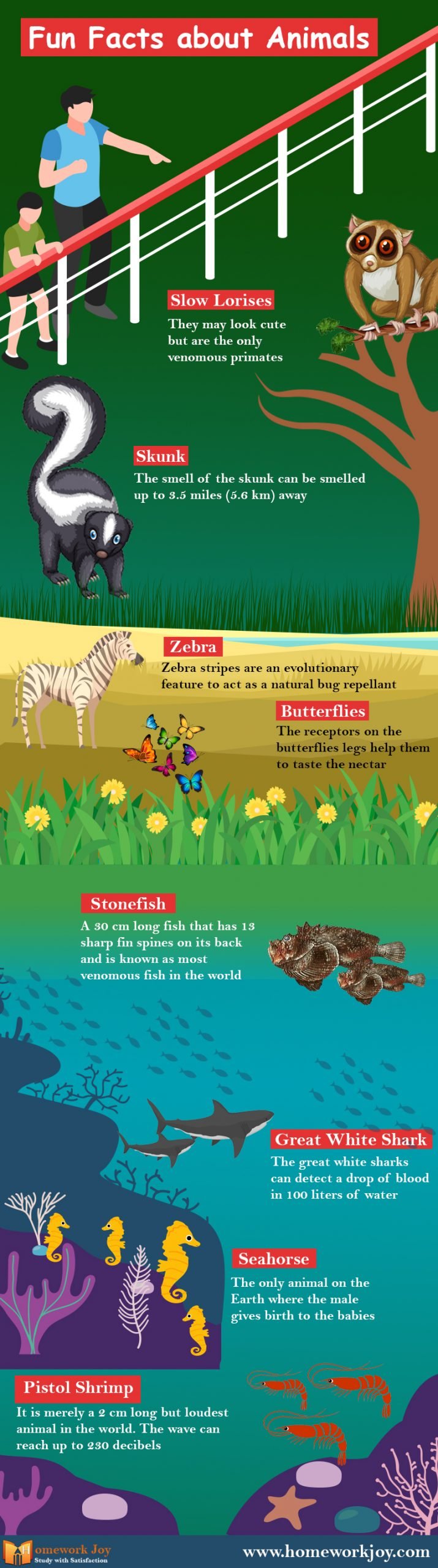 Fun facts about animals