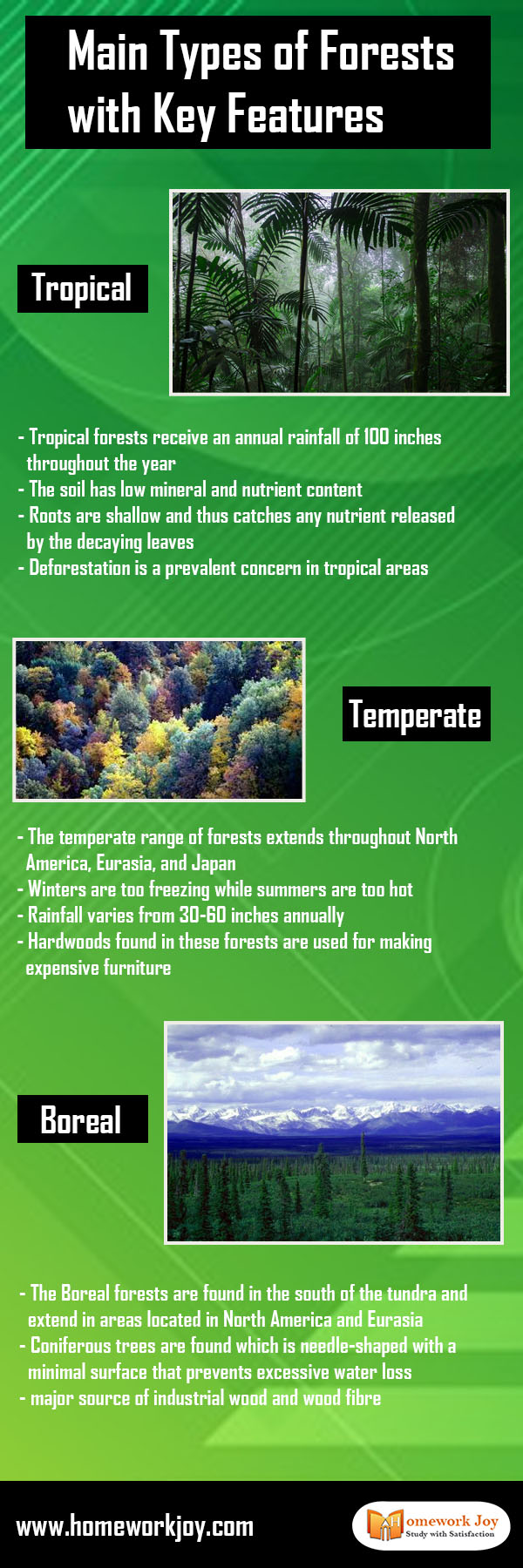 Main Types of Forests with Key Features