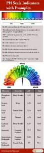 PH Scale Indicators with Examples