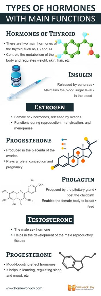 Types of Hormones With Main Functions