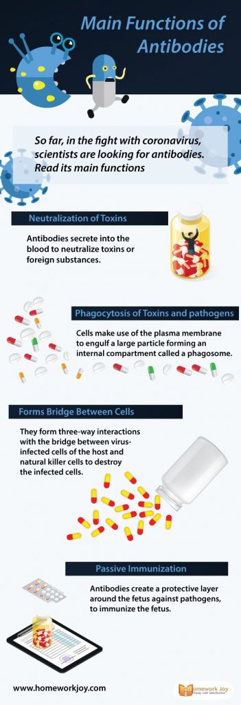 Main Functions of Antibodies