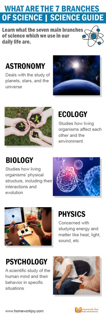What Are the 7 Branches of Science | Science Guide