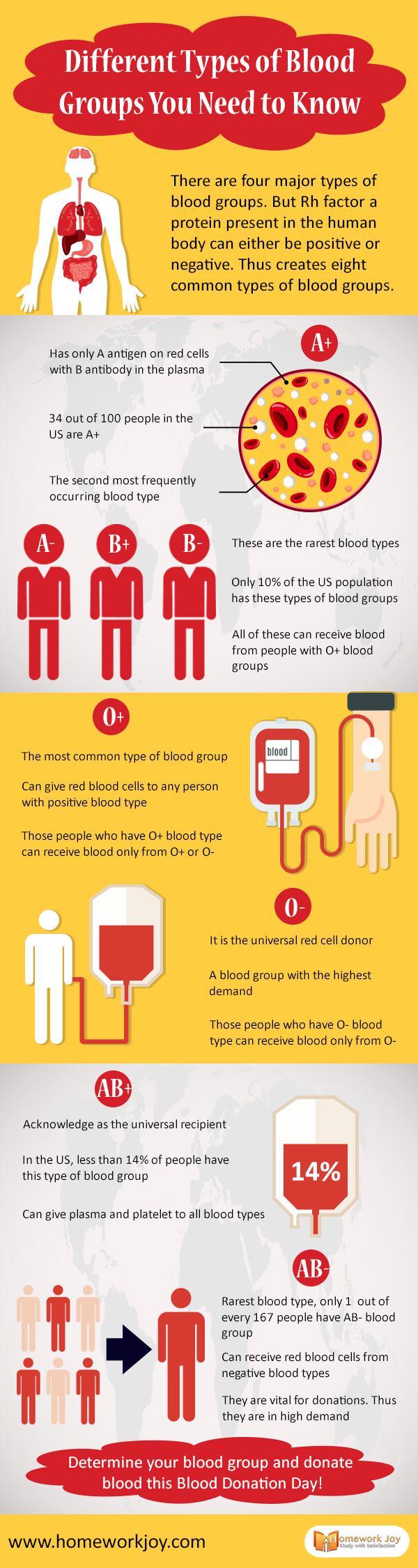 Different Types of Blood Groups You Need to Know