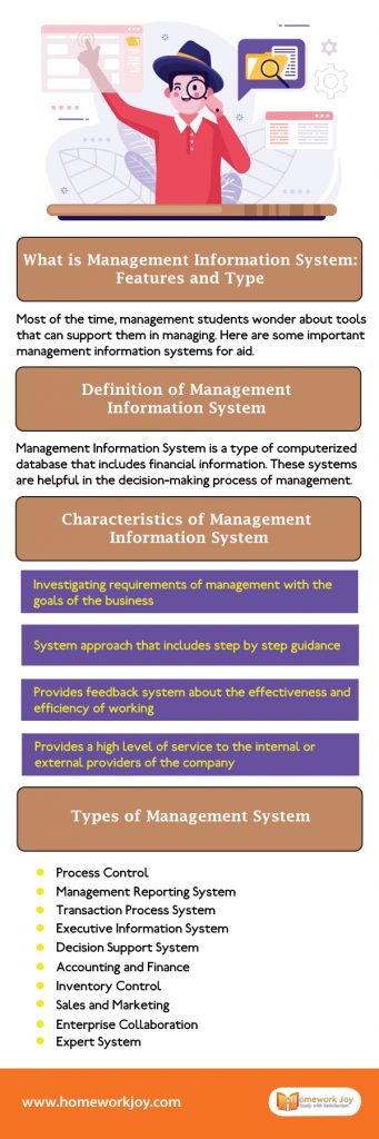 What is Management Information System: Features and Type
