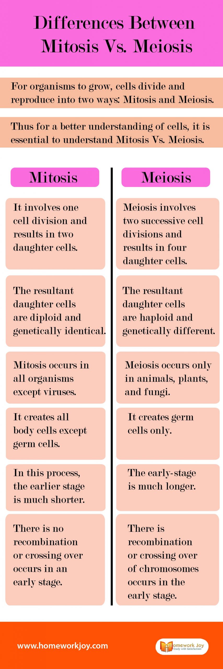 Differences Between Mitosis Vs. Meiosis-011