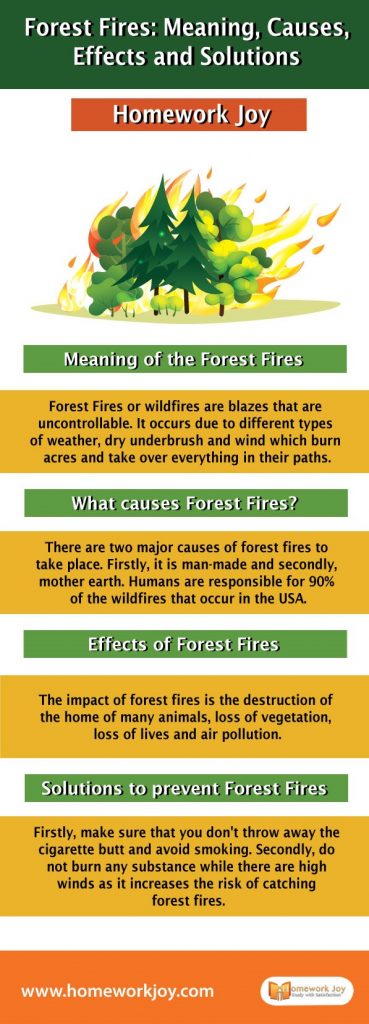 Forest Fires: Meaning, Causes, Effects and Solutions | Homework Joy 