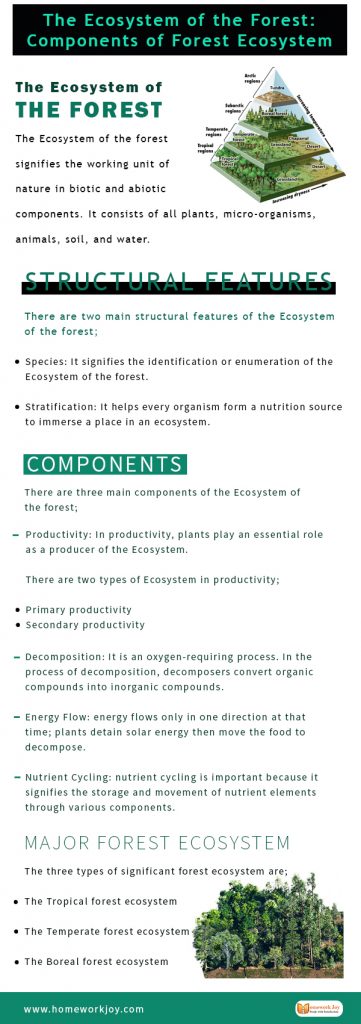 The Ecosystem of the Forest: Components of Forest Ecosystem