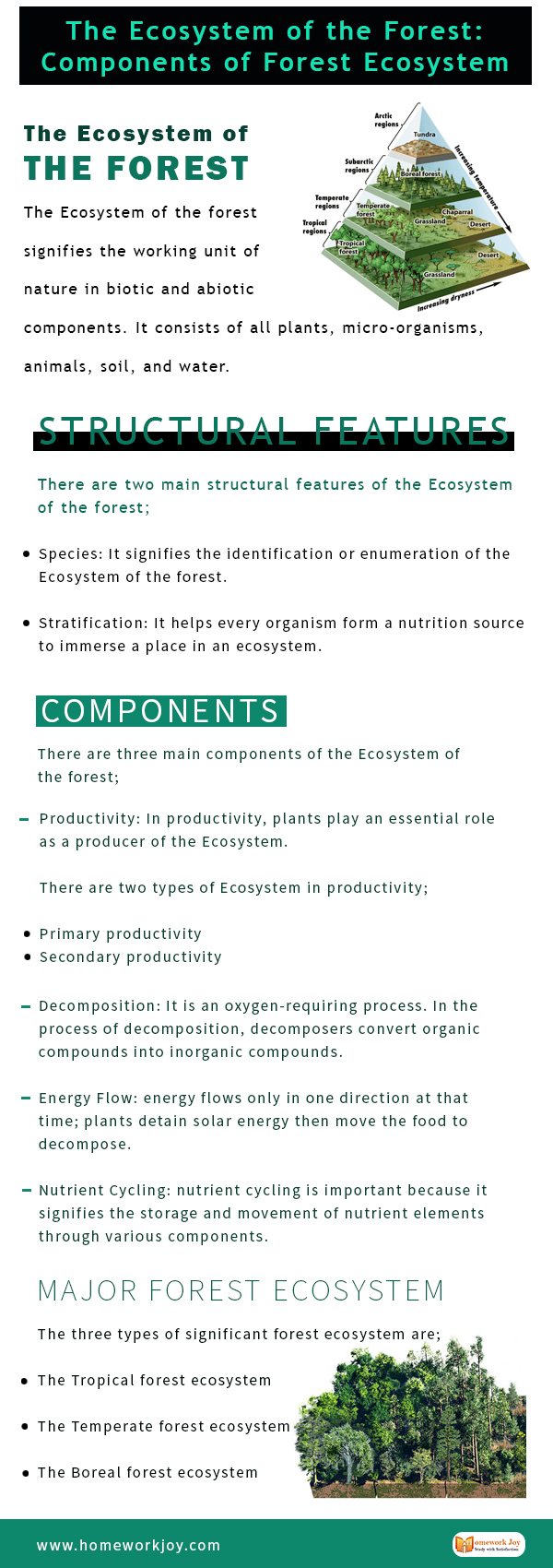 The-Ecosystem-of-the-Forest-Components-of-Forest-Ecosystem (4)
