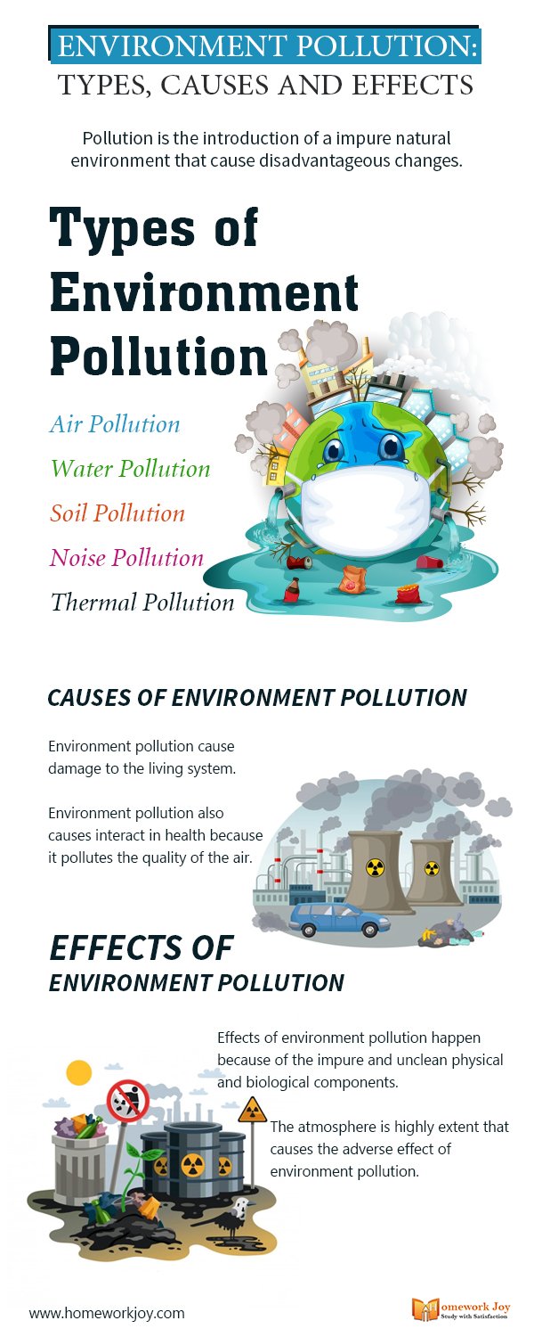 types of pollution assignment