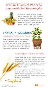 Nutrition-In-Plants-Autotrophic-And-Heterotrophic